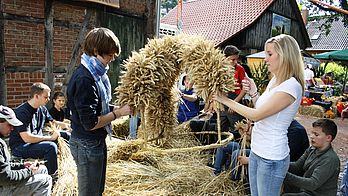 Binden des Erntekranz in Isenbüttel